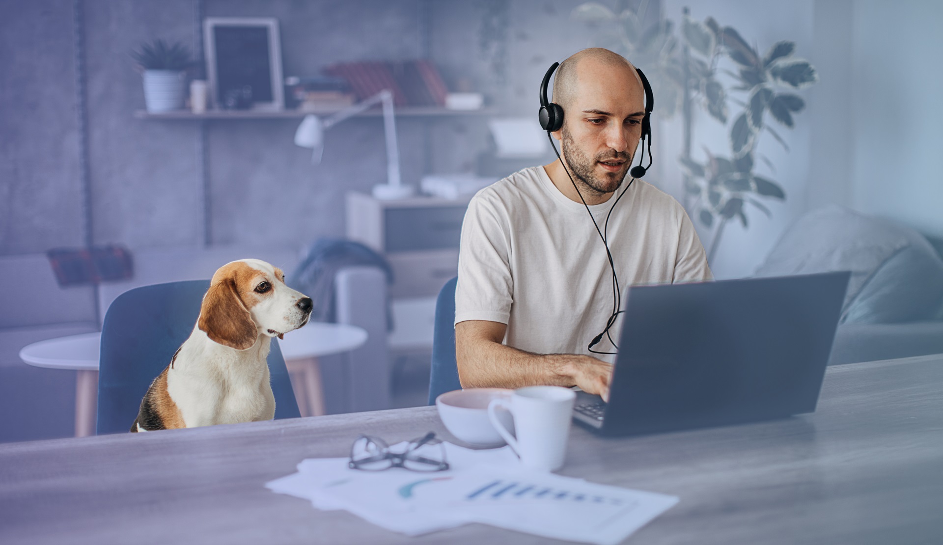 Dog with Man Looking at Laptop